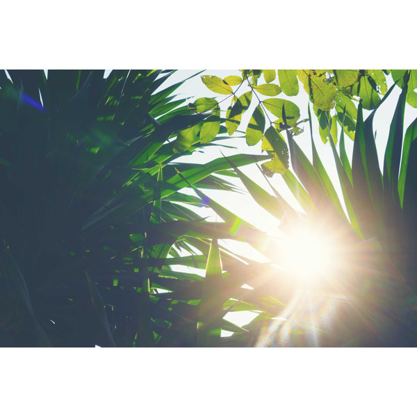 Ebern Designs Green Leaves Wrapped Canvas Photograph Wayfair